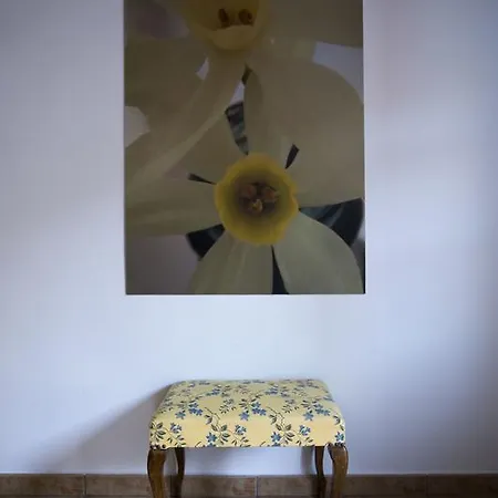 La Picota De Herguijuela *